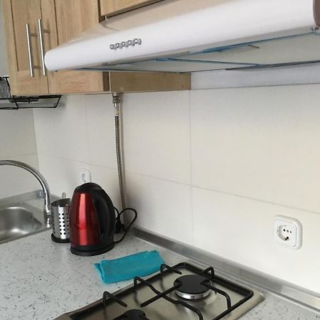 Apartaments In KarpatyMizhhirya  エクステリア 写真