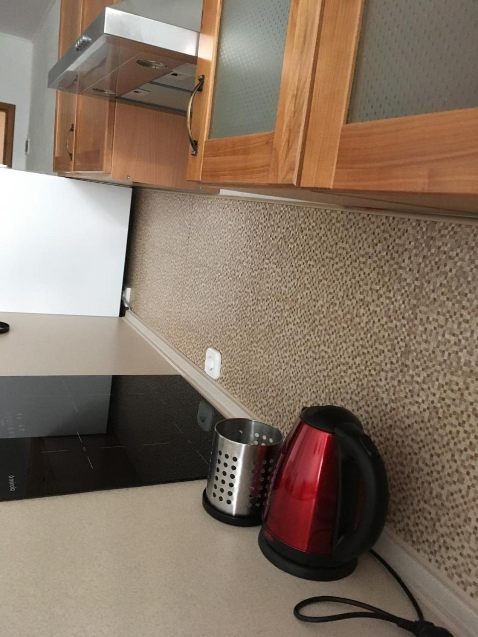 Apartaments In KarpatyMizhhirya  エクステリア 写真