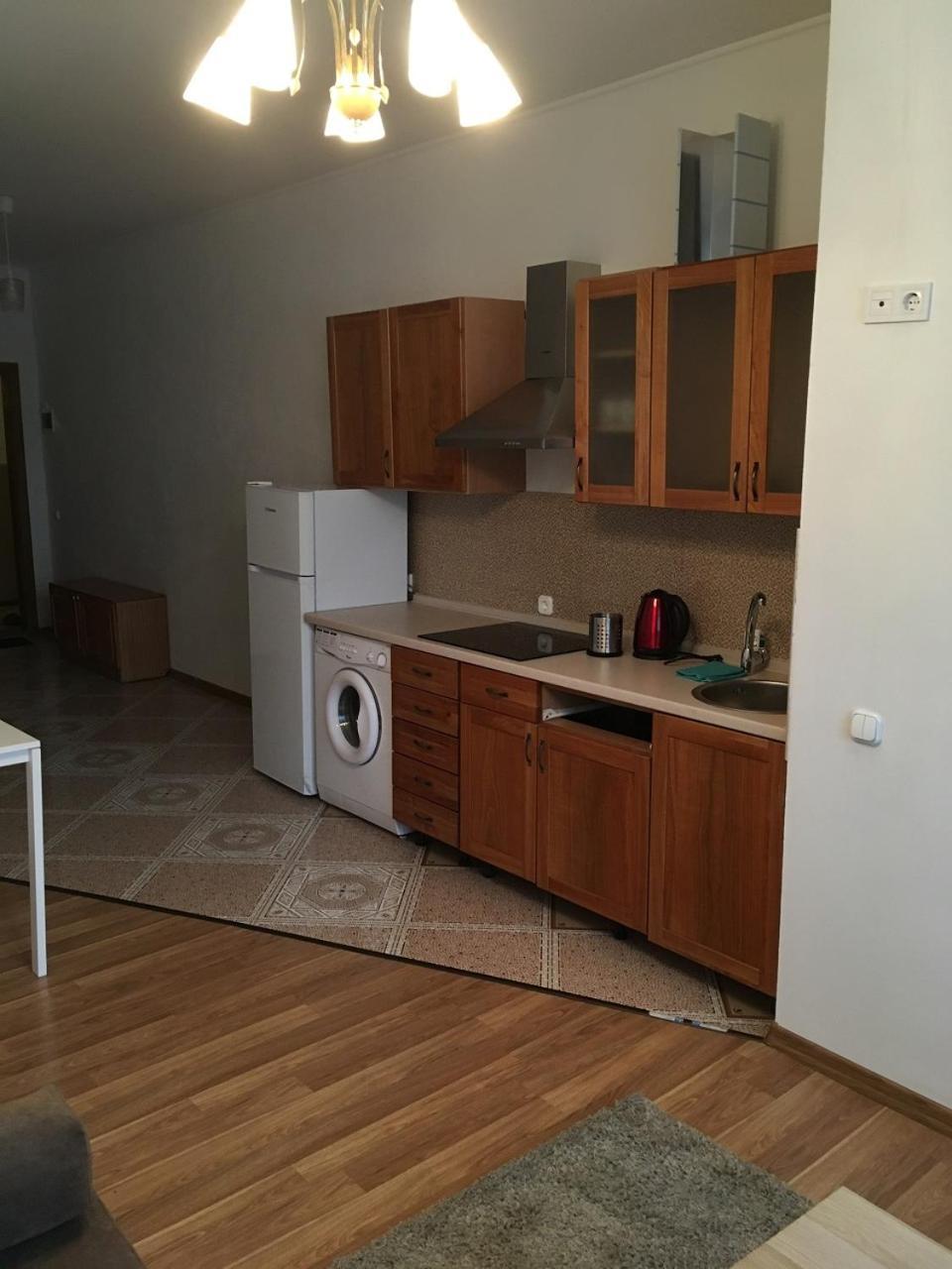 Apartaments In KarpatyMizhhirya  エクステリア 写真