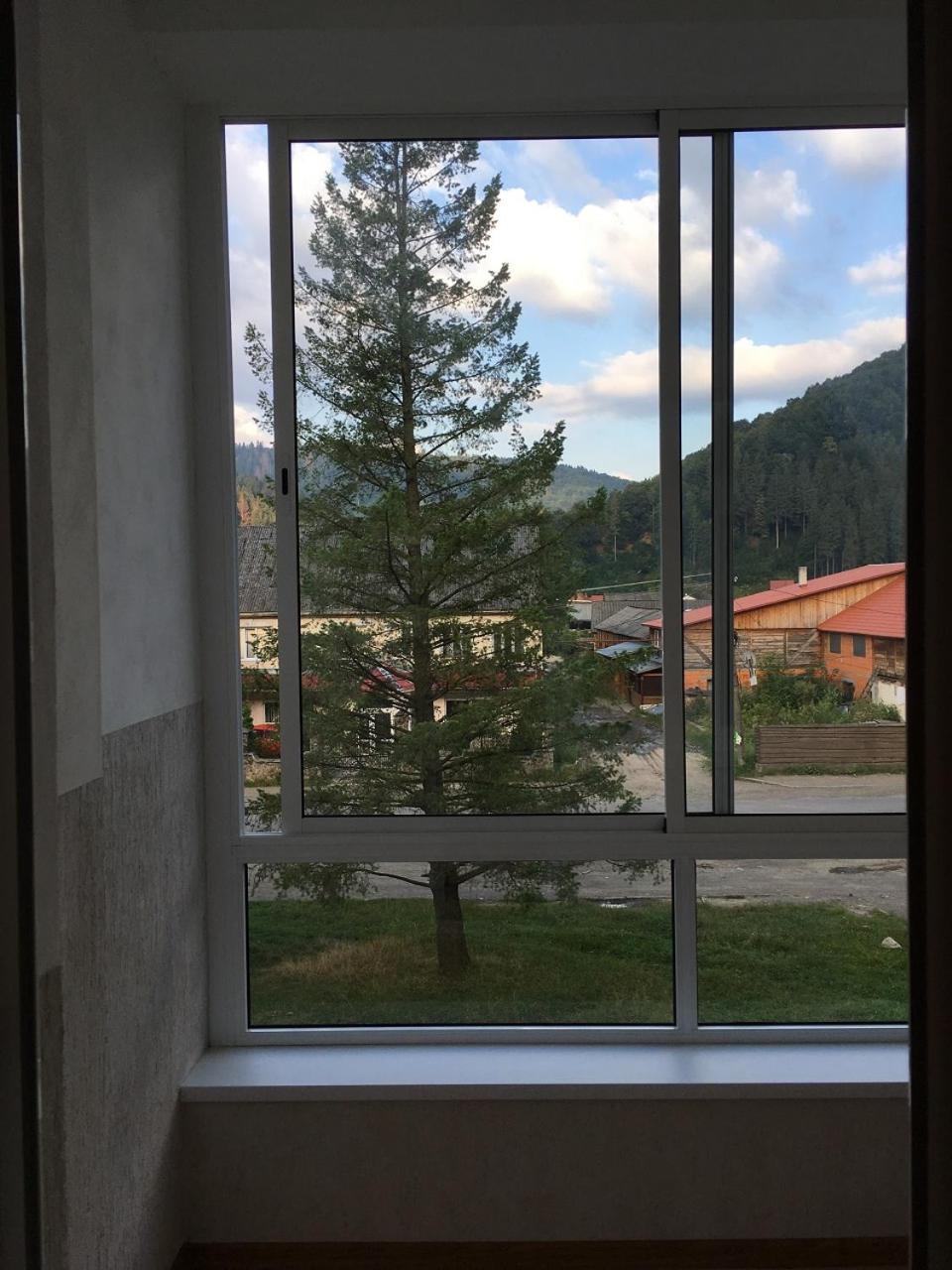 Apartaments In KarpatyMizhhirya  エクステリア 写真