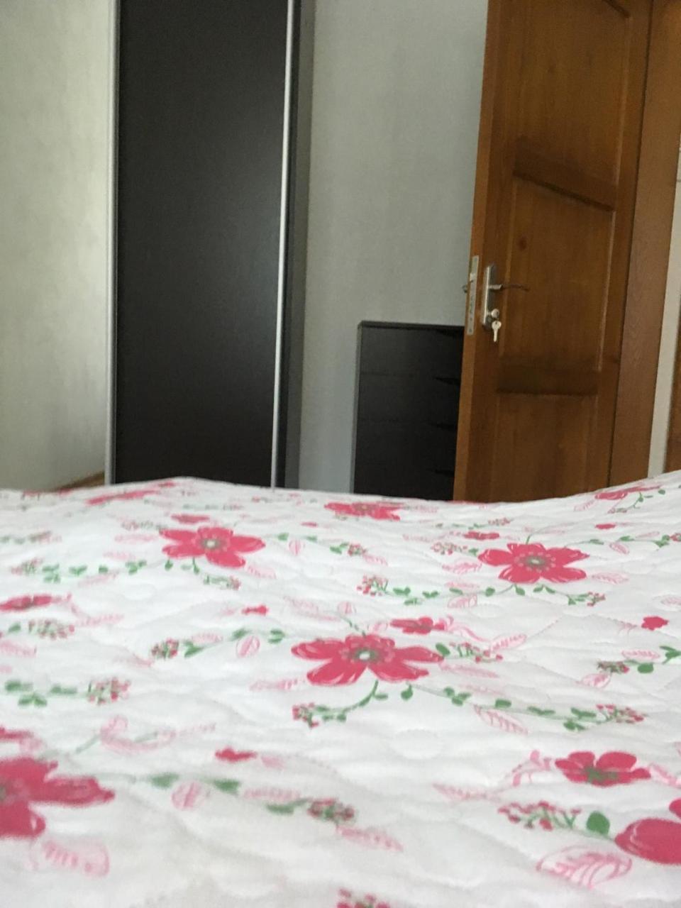 Apartaments In KarpatyMizhhirya  エクステリア 写真