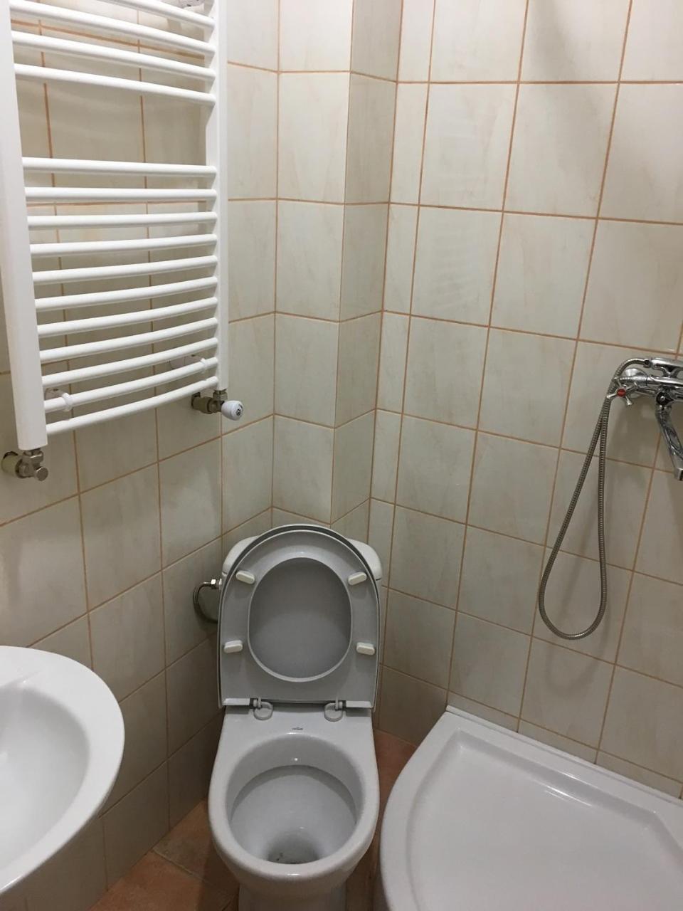 Apartaments In KarpatyMizhhirya  エクステリア 写真