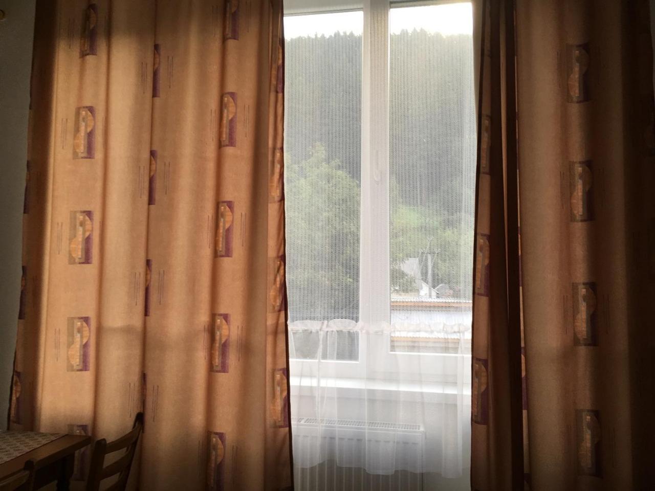 Apartaments In KarpatyMizhhirya  エクステリア 写真