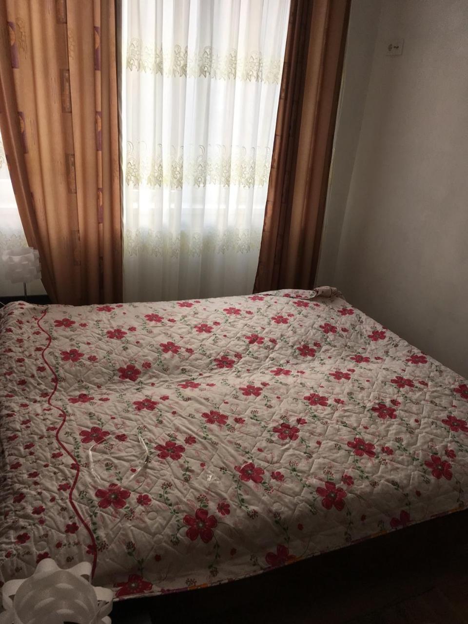 Apartaments In KarpatyMizhhirya  エクステリア 写真