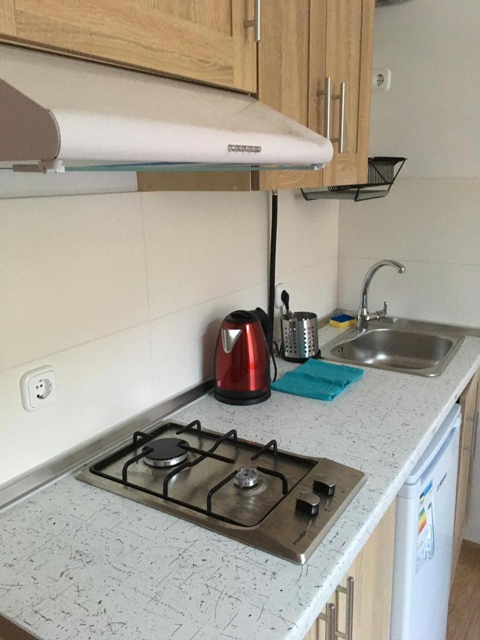 Apartaments In KarpatyMizhhirya  エクステリア 写真