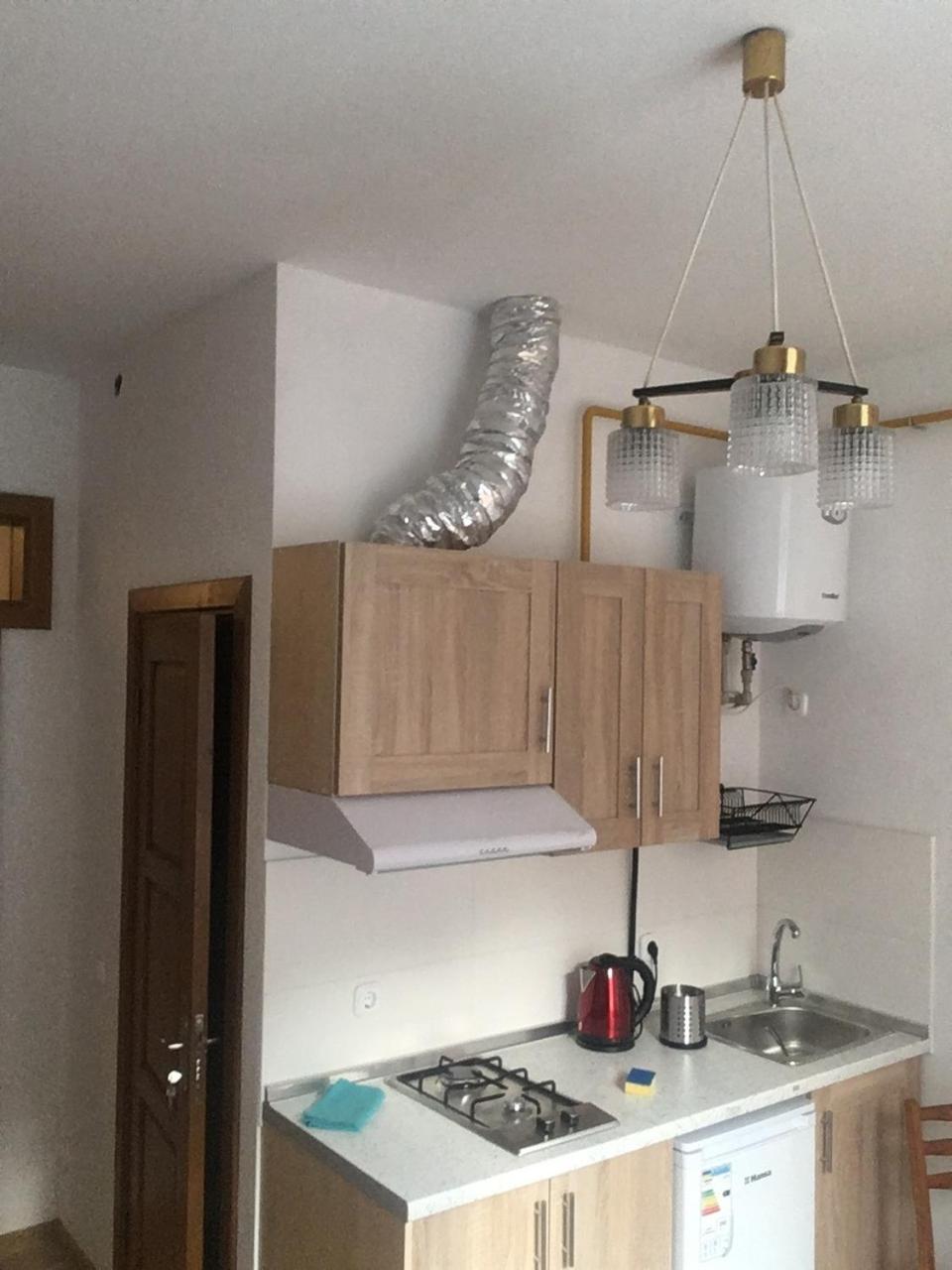 Apartaments In KarpatyMizhhirya  エクステリア 写真