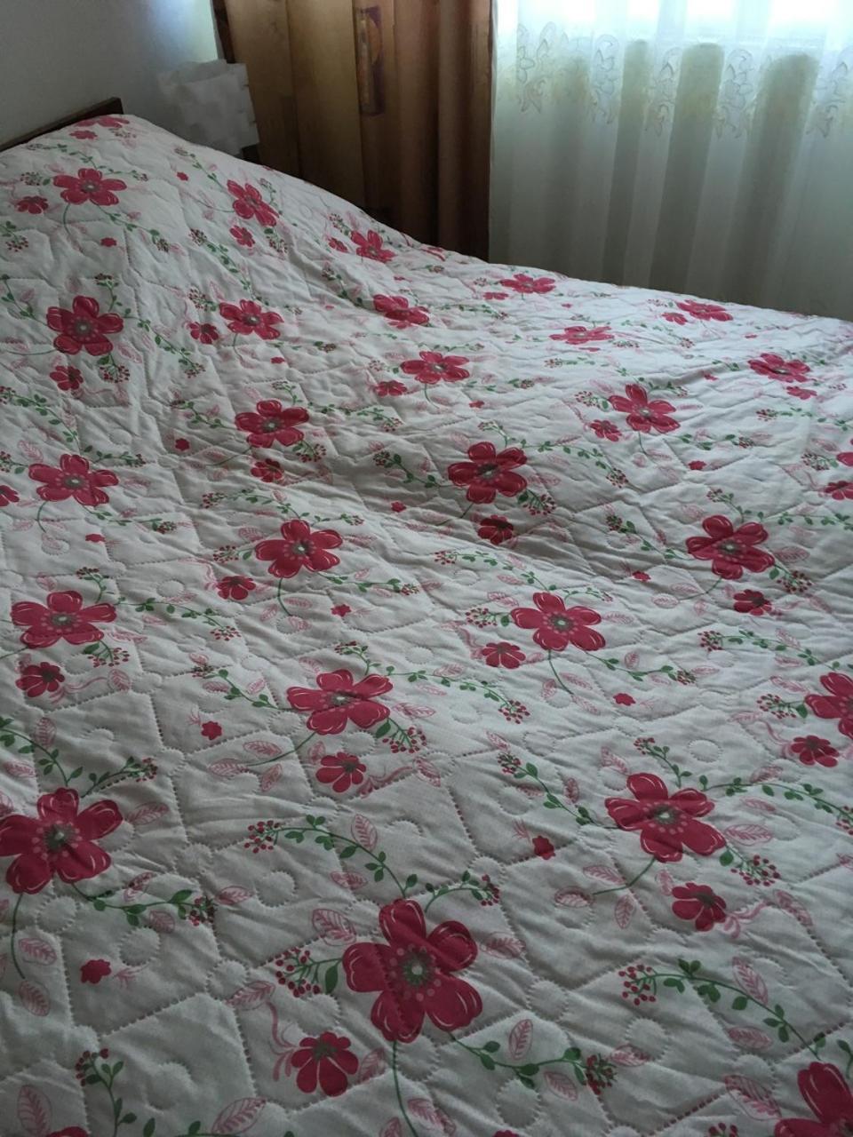 Apartaments In KarpatyMizhhirya  エクステリア 写真
