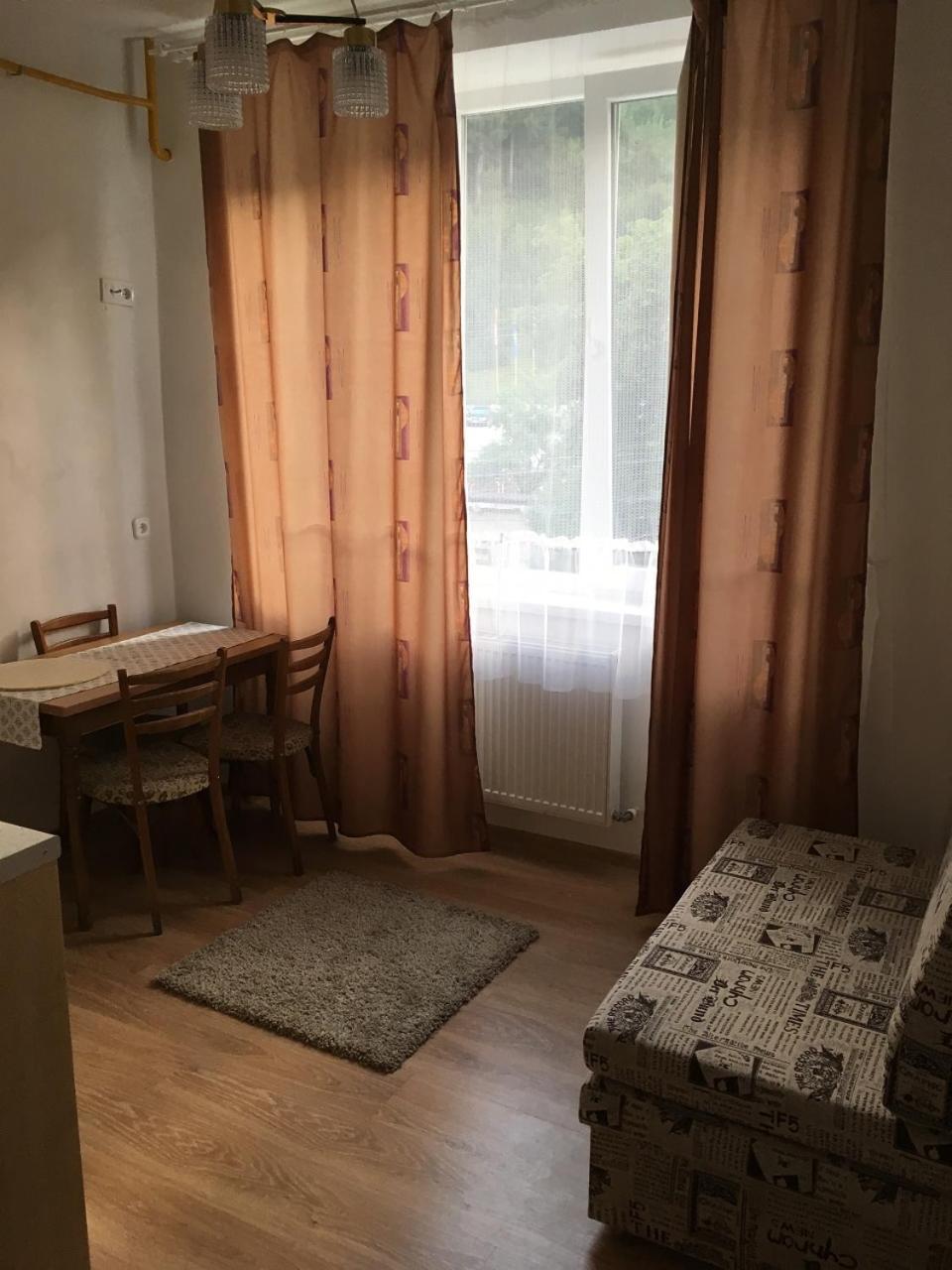 Apartaments In KarpatyMizhhirya  エクステリア 写真