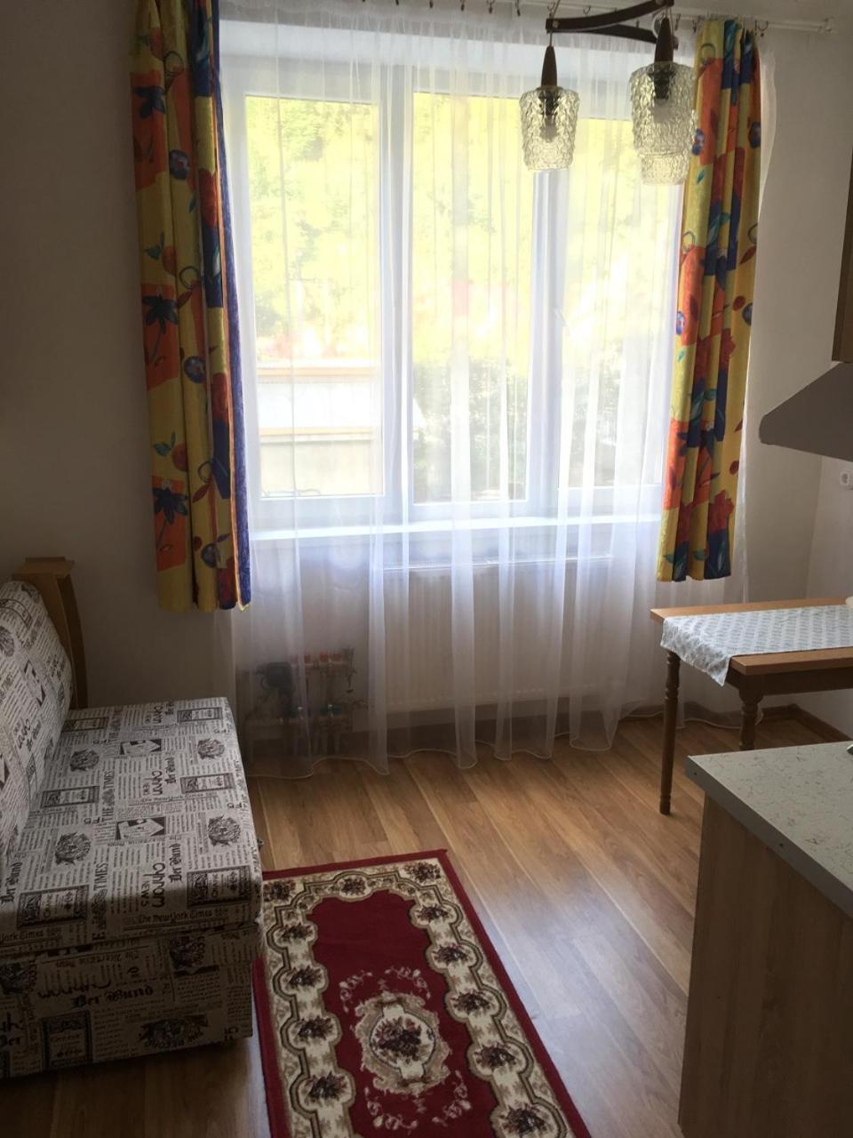 Apartaments In KarpatyMizhhirya  エクステリア 写真
