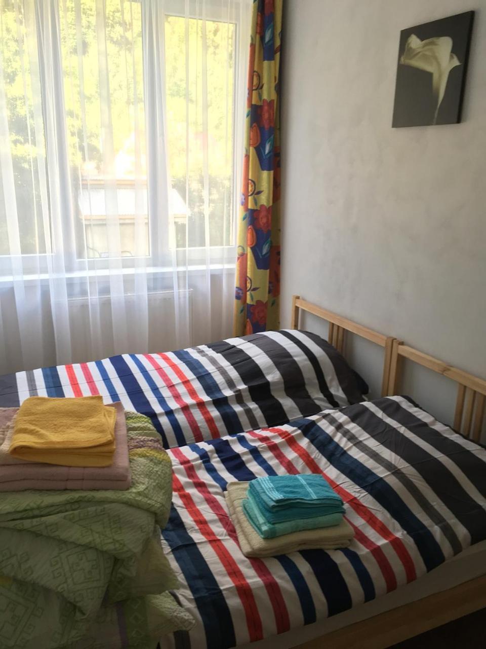 Apartaments In KarpatyMizhhirya  エクステリア 写真