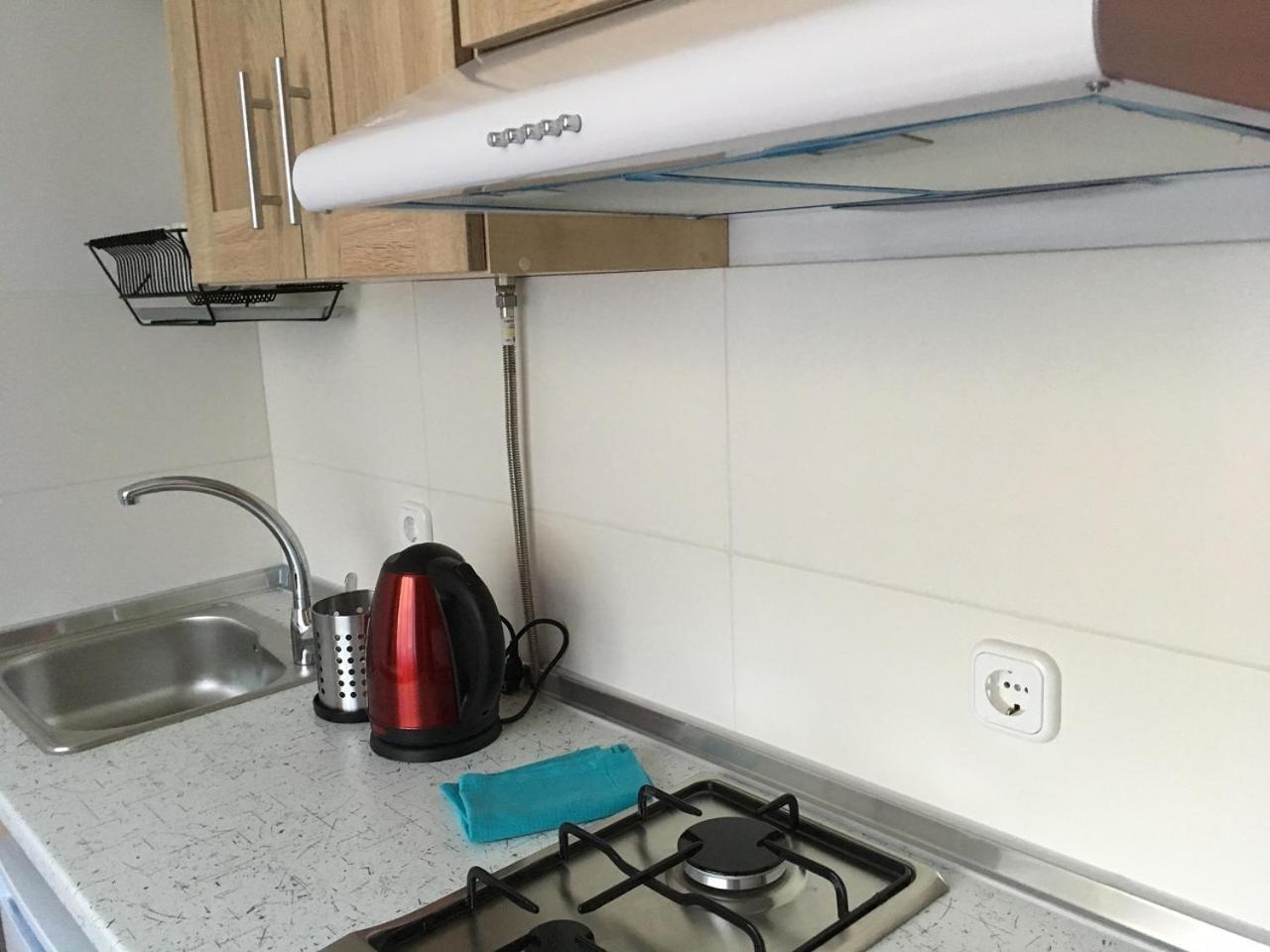 Apartaments In KarpatyMizhhirya  エクステリア 写真