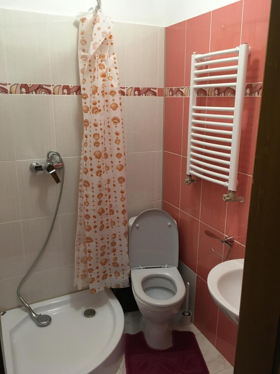 Apartaments In KarpatyMizhhirya  エクステリア 写真