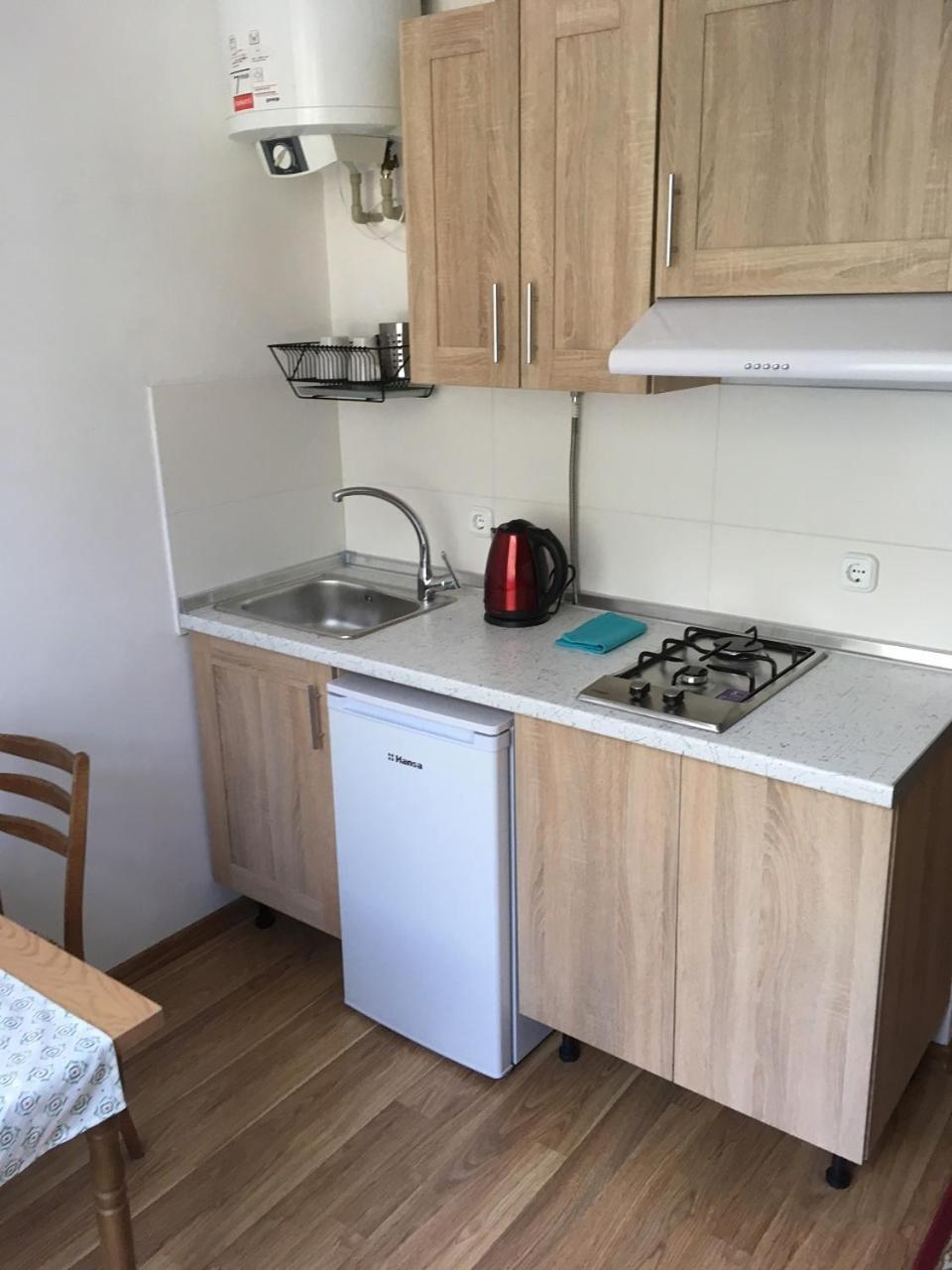 Apartaments In KarpatyMizhhirya  エクステリア 写真